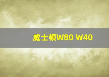 威士顿W80 W40